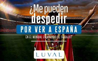 ¿ME PUEDEN DESPEDIR POR VER A ESPAÑA EN HORARIO DE TRABAJO?