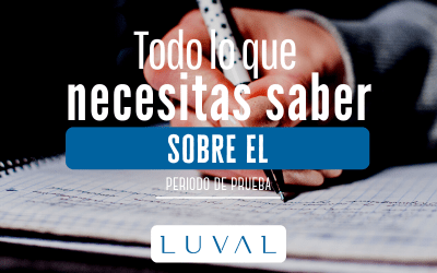 PERIODO DE PRUEBA LABORAL